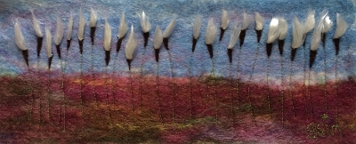 Cotton Grass